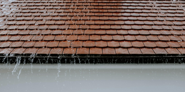 Orca Invest in Roof Protection
