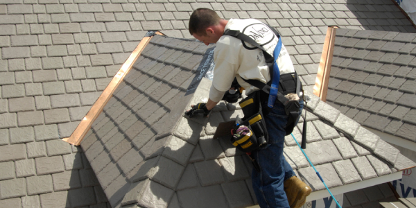DaVinci - National survey shows homeowners neglect roof maintenance