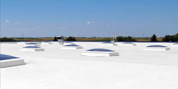 Everroof Get an everlasting roof with this coating system