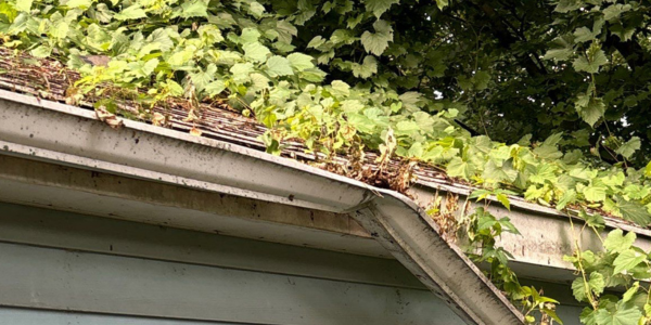 AAR Clear the clutter in your gutters