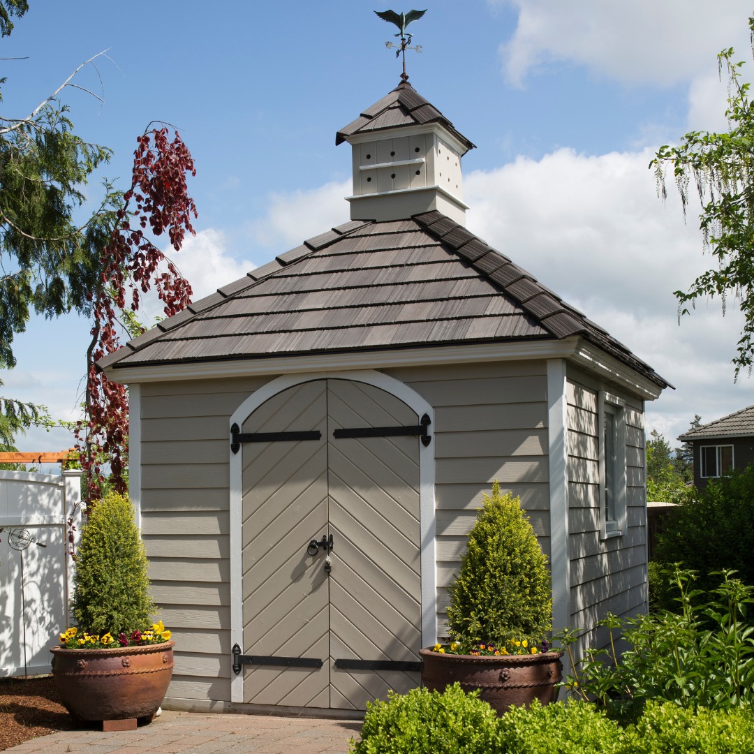 DaVinci photo of a shed weathervane