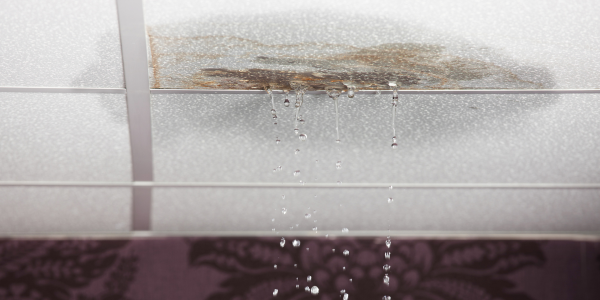 Prevent your roof leaks from getting worse