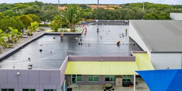 Campany Roofing - Unlock the secrets of flat roof success with expert insights