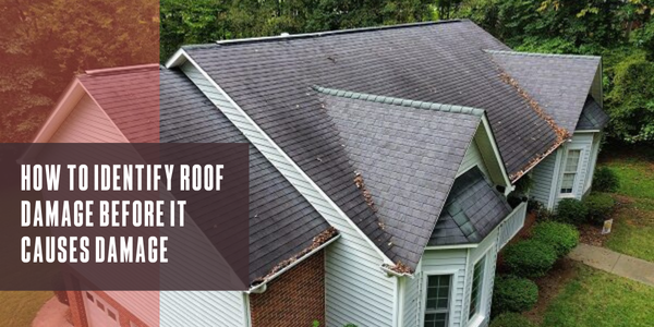 How to identify roof damage before it causes harm